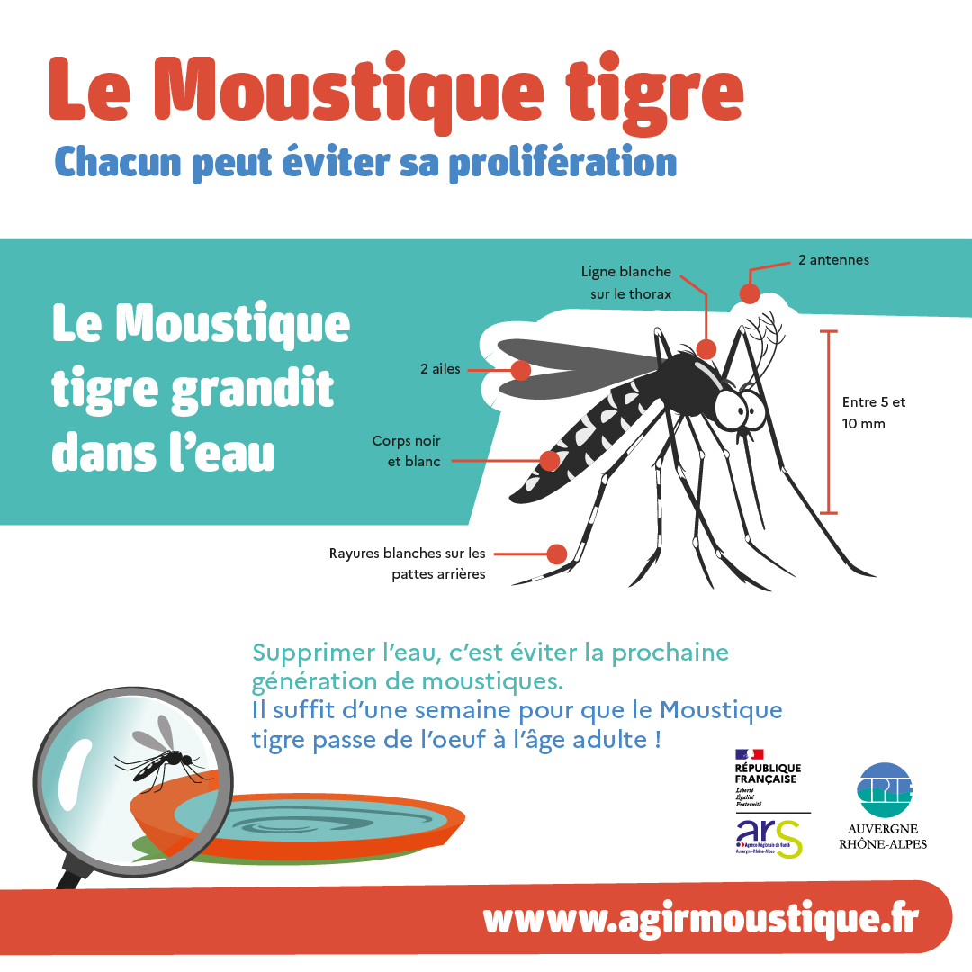 Agrandir l'image 1