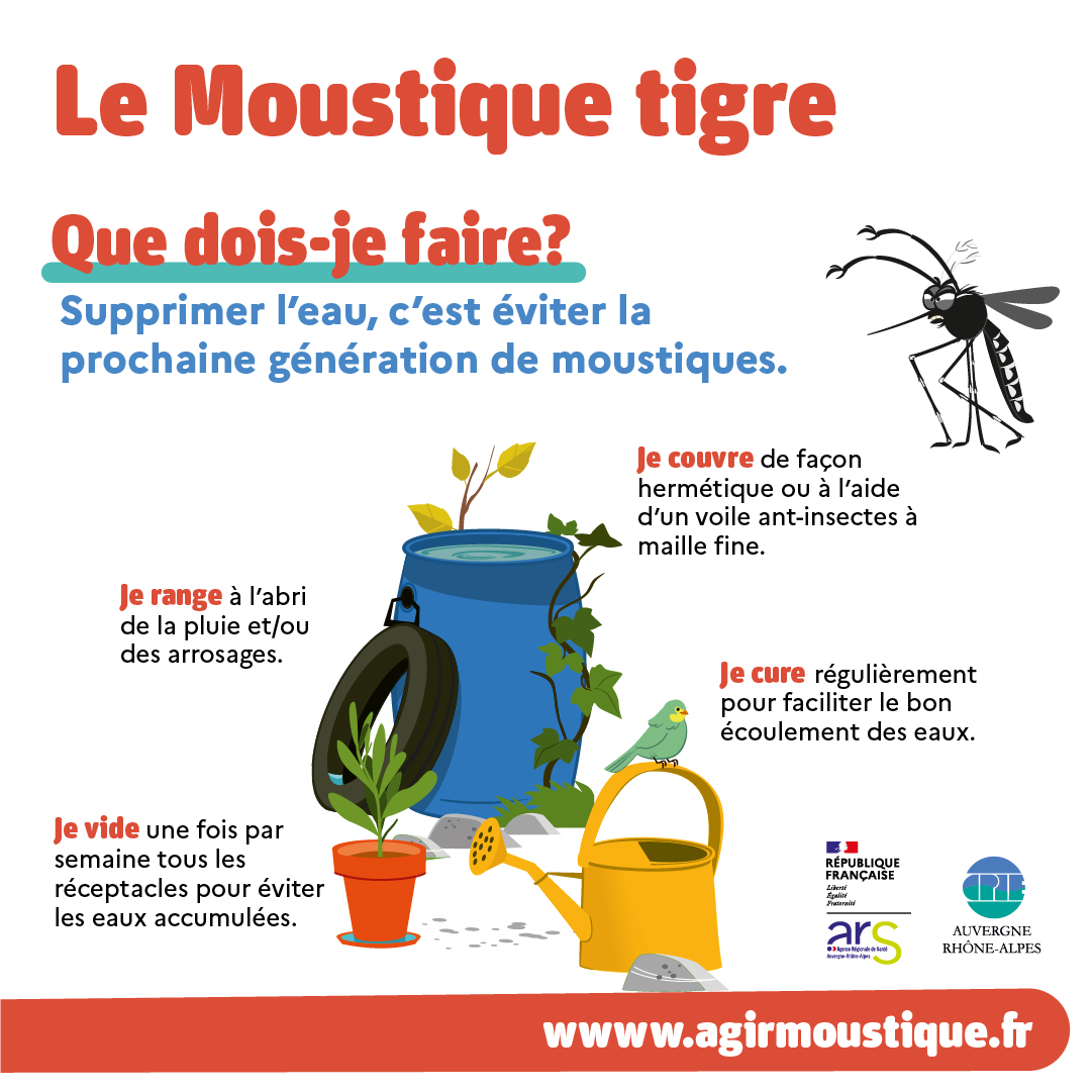 Agrandir l'image 2
