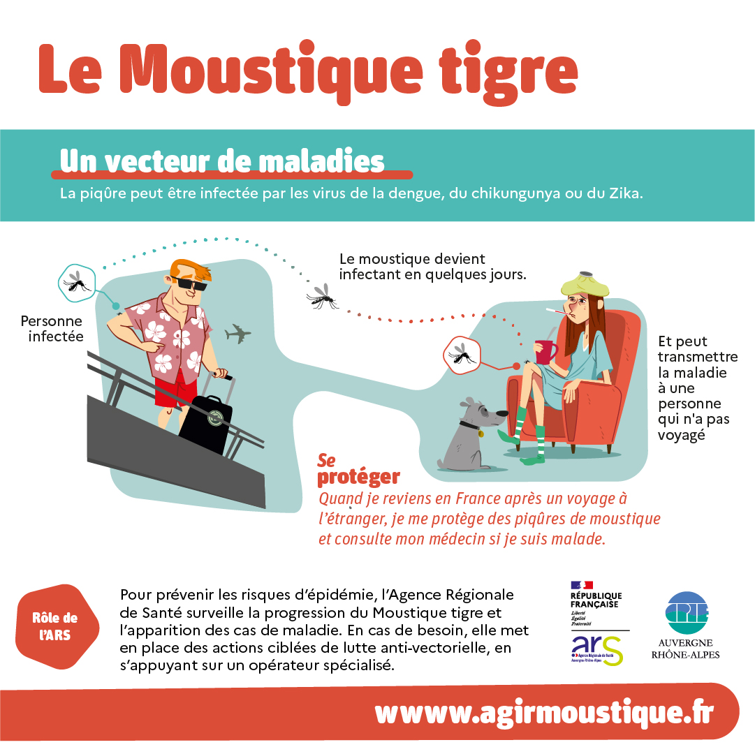 Agrandir l'image 4